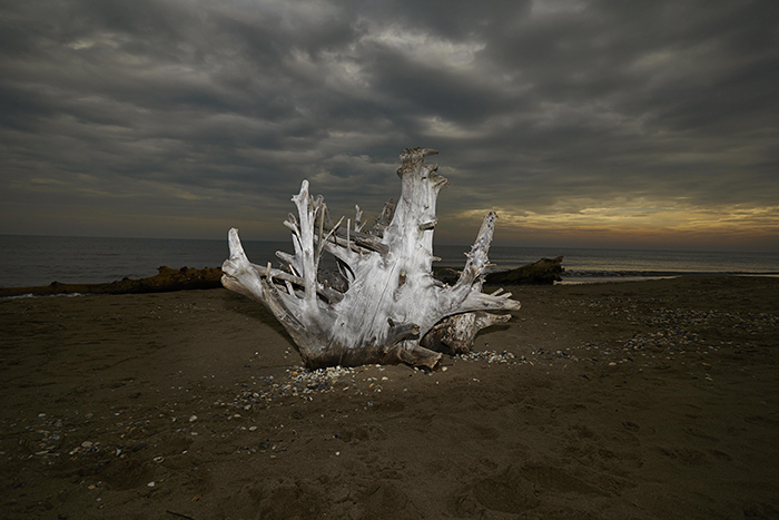 Andrea Delai “Incendio al lido, il senso del vuoto” 2014