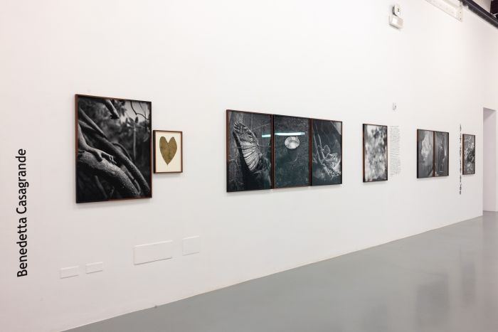 Installation view di Benedetta Casagrande